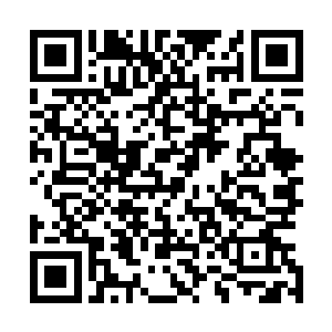 慢慢的随着时间的推移龙皇觉得身上的痛楚已经慢慢的消失二维码生成