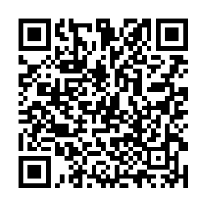 成为过去一年时间里在演技方面赢得最多瞩目的演员二维码生成