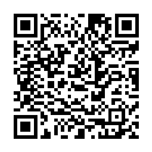 成立专案组并且自任组长的事情全部添枝加叶告诉了宗伟阳二维码生成