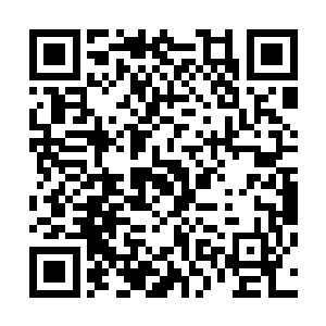 我――那个――谢谢组织上对我的信任――我保证完成任务二维码生成
