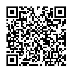 我……就是想让大家都活下去……尤其是你和罗迪秀秀二维码生成