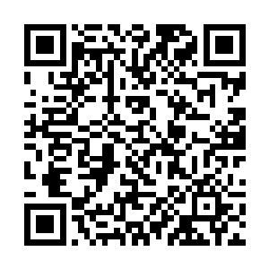 我……我……让梁律师将离婚协议书撕毁了……所以二维码生成