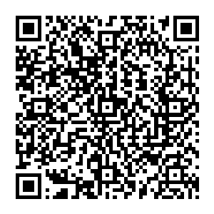 我……我不知道……谦哥哥……是外公找人帮我消除了伤痕……谦哥哥……你一定要信我啊……二维码生成