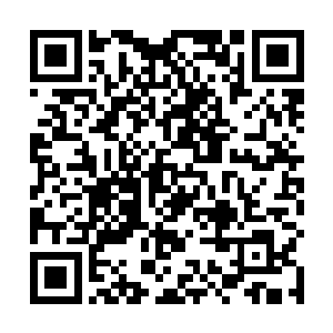 我……我其实就是单纯想要林道友留在我们白双双而已二维码生成