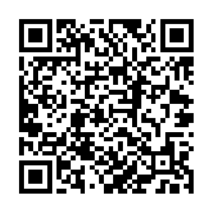 我……我就不把我儿子那套强大的灵技交给你们了……二维码生成