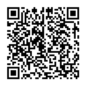 我不介意会让全月城的人知道我会动用任何可以动用的手段与人脉阻止你的婚礼二维码生成