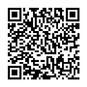 我不会和你说她的团队对于这个项目是多么的冷漠和不友好二维码生成
