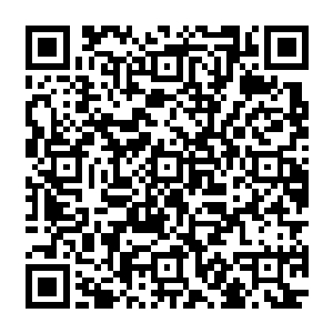 我不和她正面交手的唯一原因就是……担心你和方圆几公里内的其他无辜者被卷入战斗二维码生成