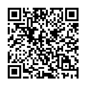 我不太确定我是否能够出演梅尔文这个角色――当然二维码生成