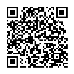 我不明白你为什么要那么做……我已经找到了解决恶蛟咒法的药二维码生成