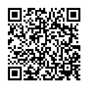 我不清楚那样详尽的自我介绍是不是这里的常态自我介绍二维码生成