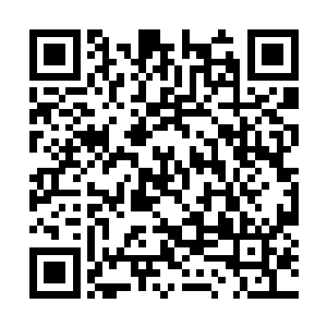 我不甘心……爷爷……我错了……我真的错了……二维码生成