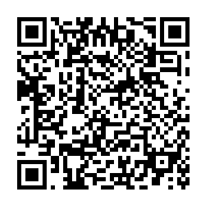 我不过是个弱女子罢了在深宫中将这一道道残忍的策略传达下去的时候二维码生成