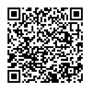 我个人认为现在我们的民营企业家群体有股子削尖脑袋进人大政协的风潮二维码生成