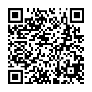 我也再一次见识到了十一中里林可儿脑残粉的可怕二维码生成