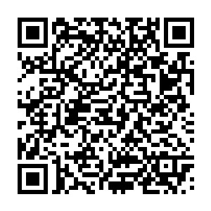 我也可以慢慢的把你培养起来的……大不了丹药大把大把的往你身上砸啊二维码生成