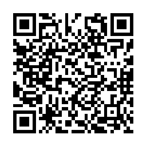 我也是可以和他们两个人并列的了不起的卢卡斯啊二维码生成