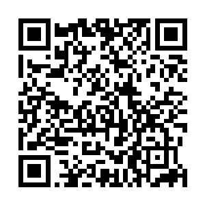 我也是在看到你的第一眼时就确定……你和我是同一类人二维码生成