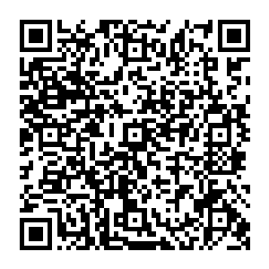 我也没有看到说有哪一个饭店的老板敢说在他们的饭店里要是找出一只苍蝇来给一万五的现金二维码生成