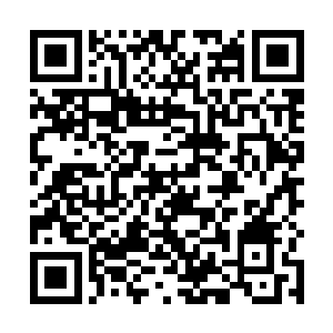 我买股票一年赚的钱比我搞走私赚的所有钱还要多几倍二维码生成