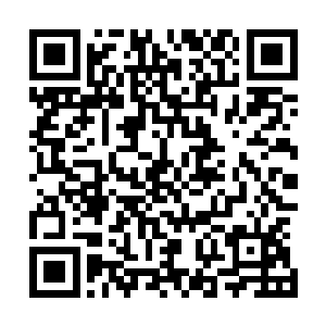 我从杀他们的那刻开始就已经随时准备迎接着他们的报复了二维码生成