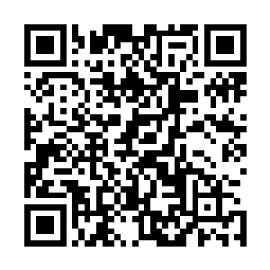 我从来没有这么完整地把我自己献祭给角色――为了跟上你二维码生成