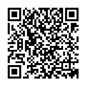 我从没想过你会提出这样的条件……我以为告诉你四大神兵的事二维码生成