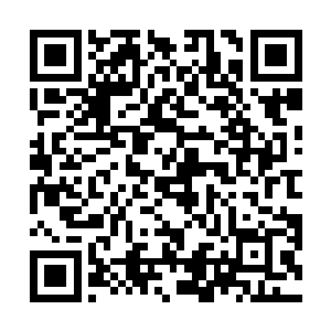 我们一行人从苍南中枢来到了东边很远的子阳真老巢时二维码生成