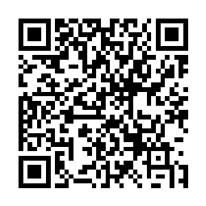 我们不惜代价主动出兵才换来了木行宫和我们签下的如律令二维码生成