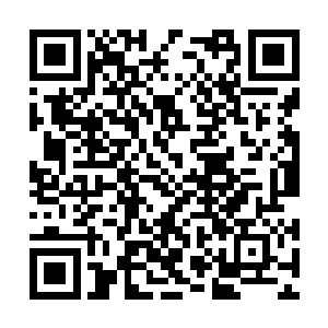 我们不是还得给她准备三十多块钱呢……你说你说二维码生成