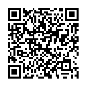 我们中华民族基本完成了经济复兴国家富强的伟大建设任务二维码生成