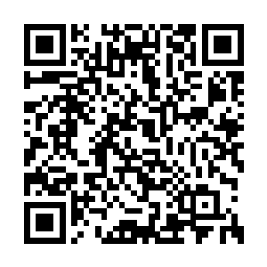 我们之前邀请的几位中医大师差不多都已经到了二维码生成