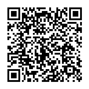 我们也可以把成熟的家禽拿到岸上渔村去给那些来度假的城里人挑二维码生成