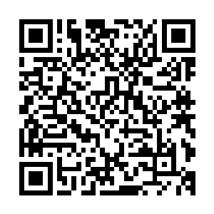 我们五巨头在校门口和马浩南他们打群架的事就在学校传开了二维码生成