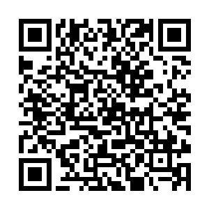 我们人族和妖族爆发了一场规模巨大的人妖大战之后二维码生成