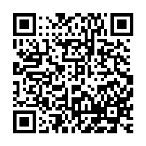 我们今天下午已经将整个小镇的稀奇贵重玩意都搜罗了一个遍二维码生成