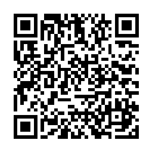 我们会将师弟你需要的药草全部都送到师弟你面前的二维码生成