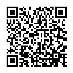 我们会得到一个利润过亿的项目和大片前景美好的市场二维码生成