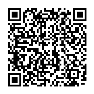 我们使用的每一个带有智脑系统的虚拟设备其实都是军部智脑分出来的一丝触角二维码生成