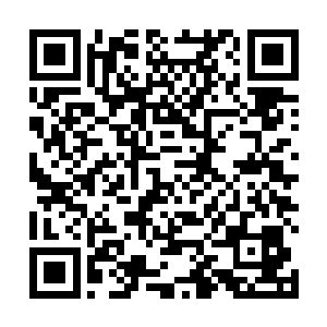 我们公司的所有合作企业都开始终止跟我们的业务联系二维码生成