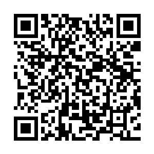 我们凭借现在的部队根本就没有办法跟华夏革命军的主力相抗衡二维码生成