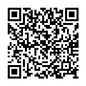 我们动用二品法宝才有可能攻破它们的甲壳防御二维码生成