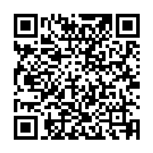 我们双峰今年的经济增速已经证明了我们白勺发展前景二维码生成