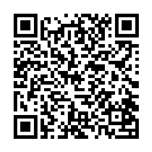 我们双峰今年的经济增速已经证明了我们的发展前景二维码生成