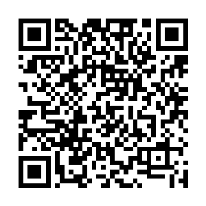 我们只不过是用几亿人的性命在换几百亿人的性命而已二维码生成