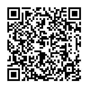 我们可以从这里的植被以及土地上感觉出来这里的力量属性和流动二维码生成