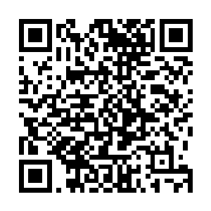 我们圣廷之中肯定不会有红衣大主教去帮理查德家族的人二维码生成