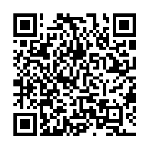 我们在骨承中的魂魄自然也会受到伤害进而逐渐变得不完整二维码生成