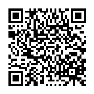 我们姐妹不和的消息很快就会传出去了……你代我去参加及笄礼二维码生成
