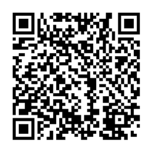 我们实在是搞不懂你们华夏修炼者的境界体系……总之是先天境界……二维码生成